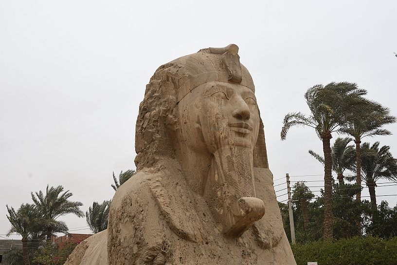 09 MAK_6861.jpg - Hatshepsut, il cui nome in egizio significa "La prima tra le nobili", fu l'unica figlia di re Thutmose I, durante il suo regno vi sono state campagne militari, in Nubia, Palestina e Siria.
